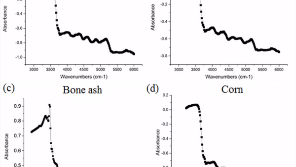 Detection of animal by-products in bone ashes by near infrared spectroscopy coupled with microscopy