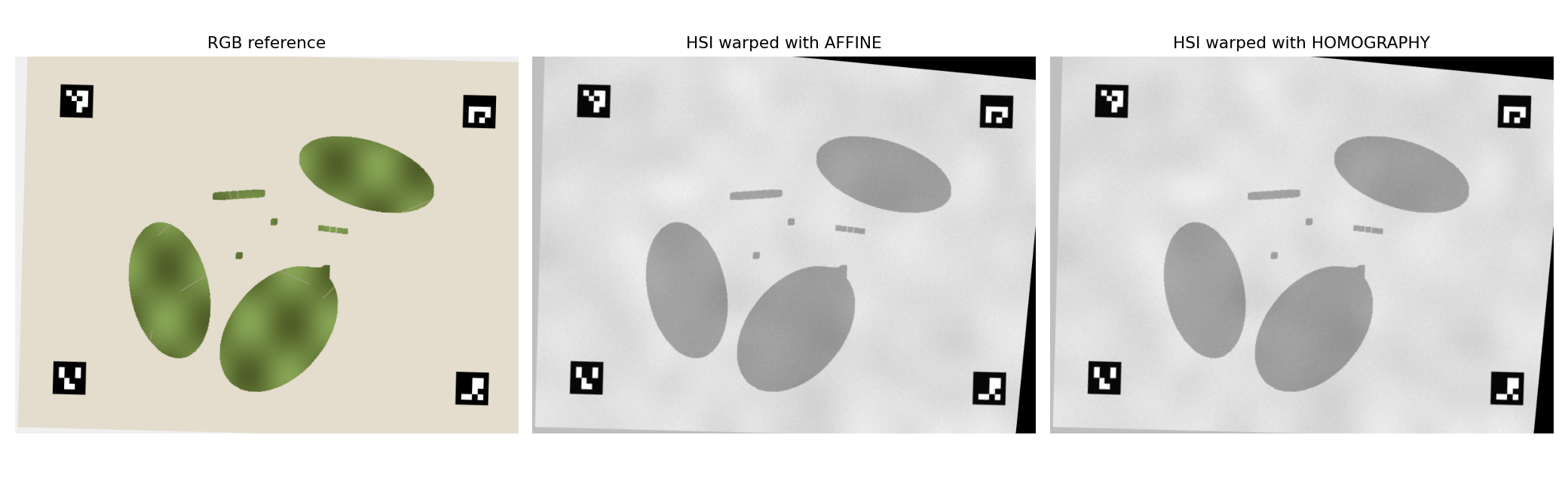 Affine versus homography warping