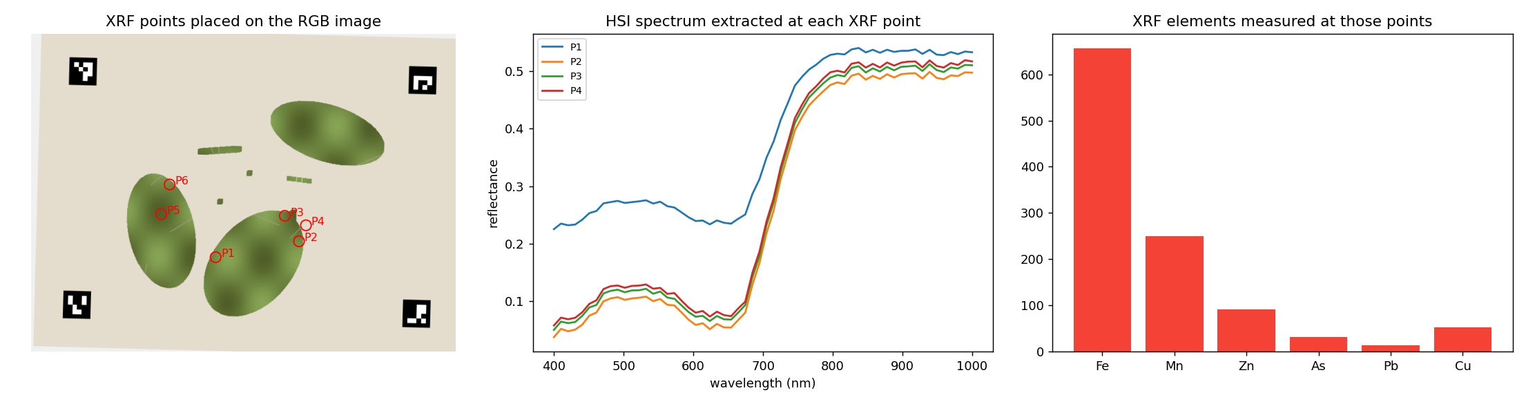 XRF points and extracted spectra